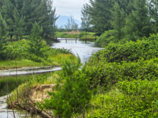 Vazante - Ilha Comprida