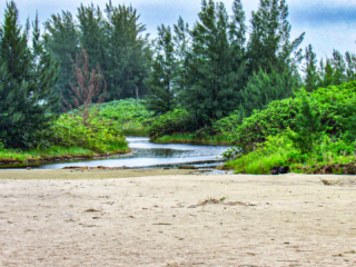 Vazante - Ilha Comprida