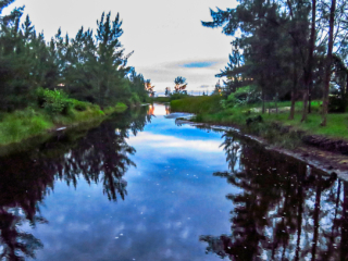 Vazante - Ilha Comprida