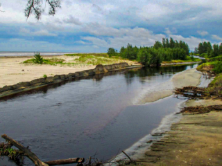 Vazante - Ilha Comprida