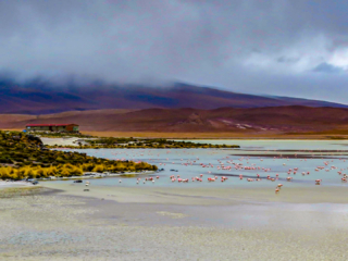 Lagoa Hedionda