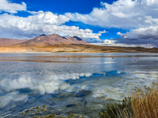Laguna Cejar