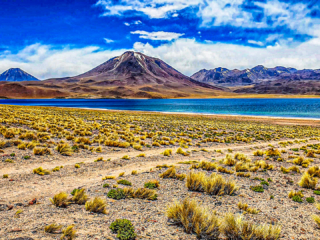 Lagunas Altiplanas