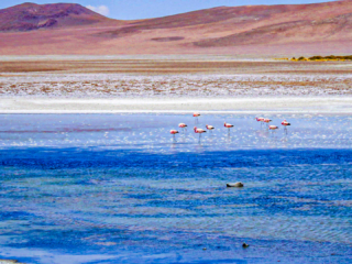 Laguna Cejar